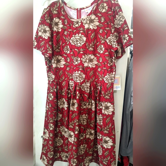LuLaRoe Dresses & Skirts - LuLaRoe Amelia Dress